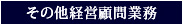 その他経営顧問業務